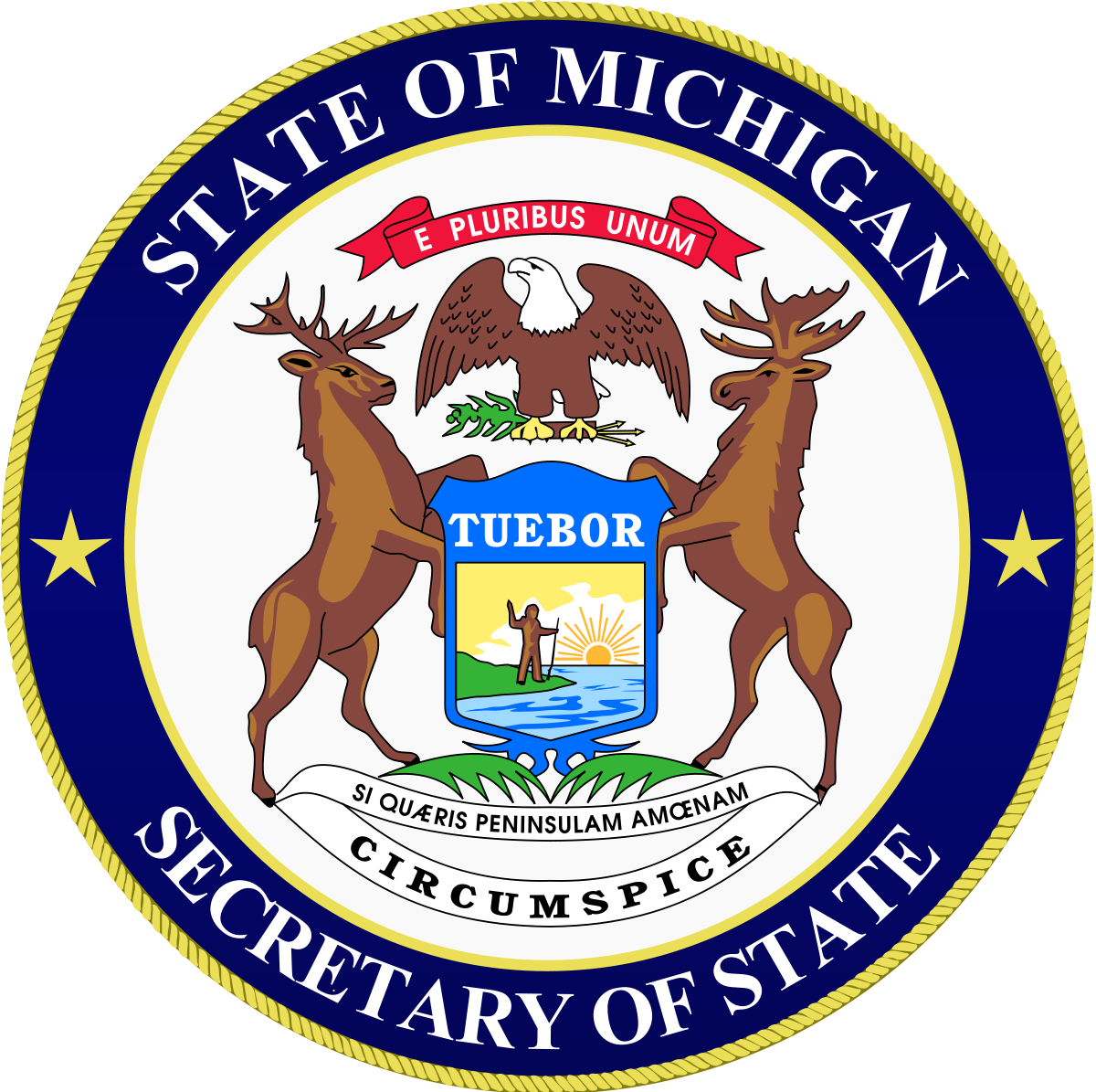 State of Michigan  Install and Repair License